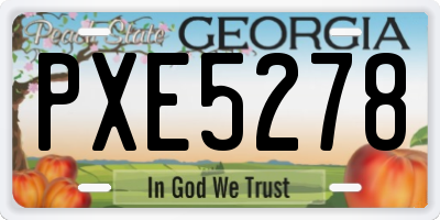 GA license plate PXE5278
