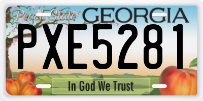 GA license plate PXE5281