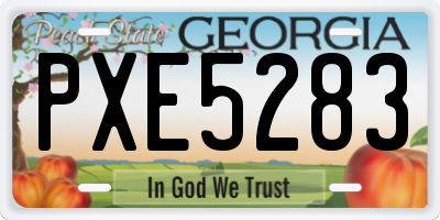 GA license plate PXE5283