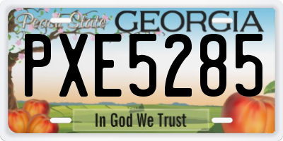GA license plate PXE5285