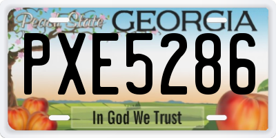 GA license plate PXE5286