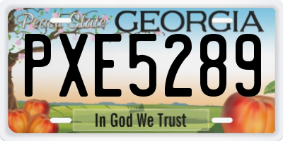 GA license plate PXE5289