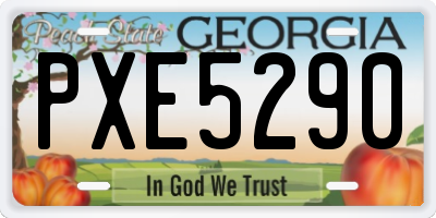 GA license plate PXE5290