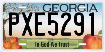 GA license plate PXE5291