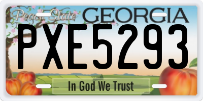 GA license plate PXE5293