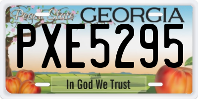 GA license plate PXE5295