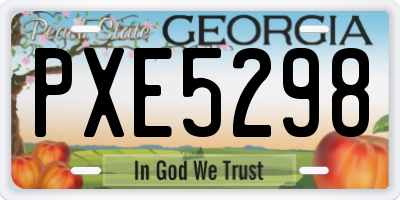 GA license plate PXE5298