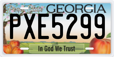 GA license plate PXE5299