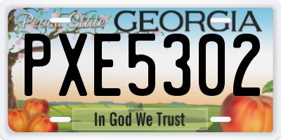 GA license plate PXE5302