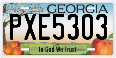 GA license plate PXE5303