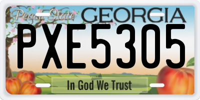 GA license plate PXE5305