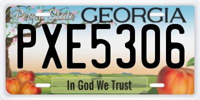 GA license plate PXE5306