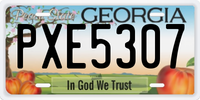 GA license plate PXE5307