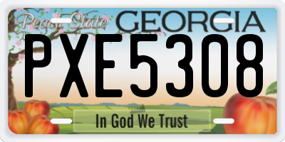 GA license plate PXE5308