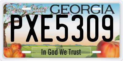 GA license plate PXE5309