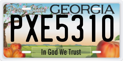 GA license plate PXE5310