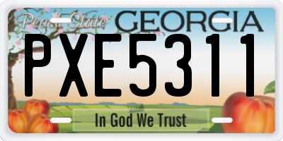 GA license plate PXE5311