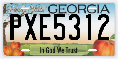 GA license plate PXE5312