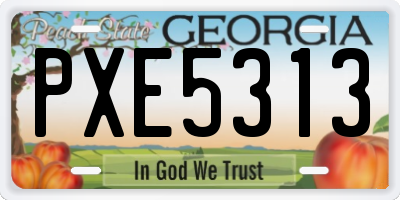 GA license plate PXE5313