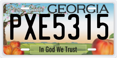 GA license plate PXE5315