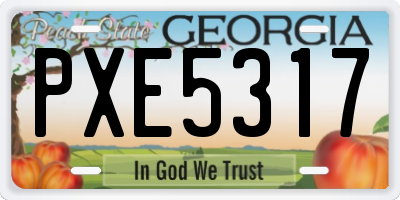 GA license plate PXE5317