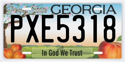 GA license plate PXE5318