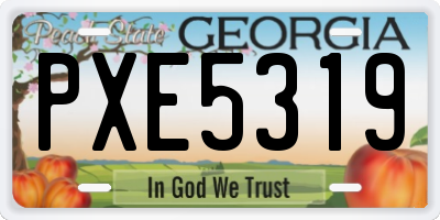 GA license plate PXE5319
