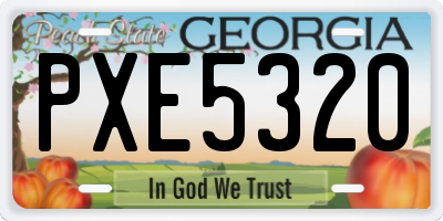 GA license plate PXE5320