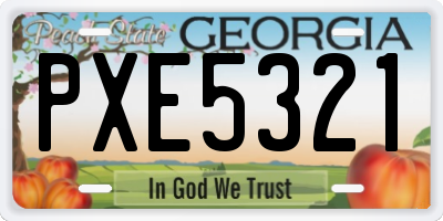 GA license plate PXE5321