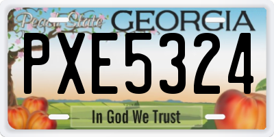 GA license plate PXE5324