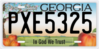 GA license plate PXE5325