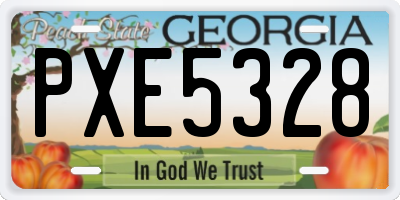 GA license plate PXE5328