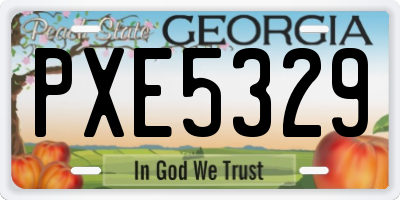 GA license plate PXE5329