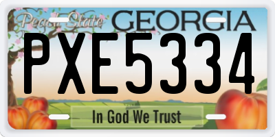 GA license plate PXE5334