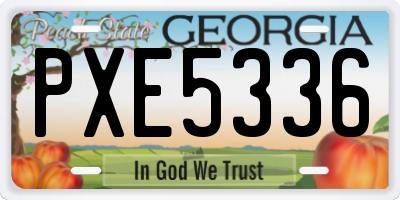 GA license plate PXE5336