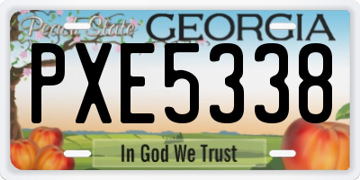 GA license plate PXE5338