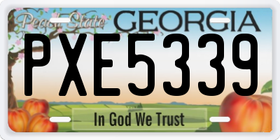 GA license plate PXE5339