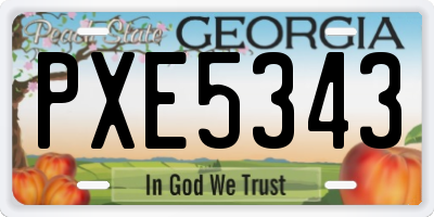 GA license plate PXE5343