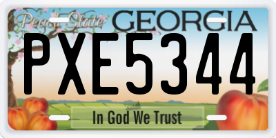 GA license plate PXE5344