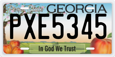 GA license plate PXE5345