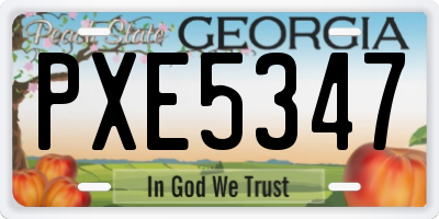 GA license plate PXE5347
