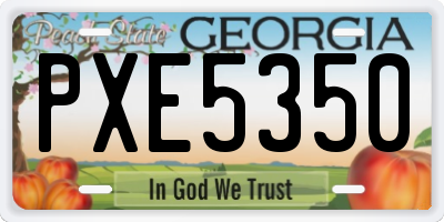 GA license plate PXE5350