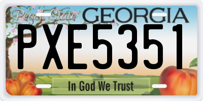 GA license plate PXE5351