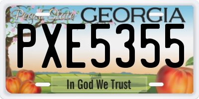 GA license plate PXE5355
