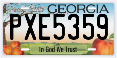 GA license plate PXE5359