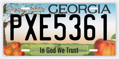 GA license plate PXE5361