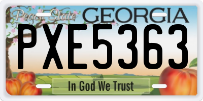 GA license plate PXE5363
