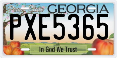 GA license plate PXE5365