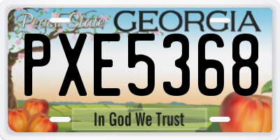 GA license plate PXE5368