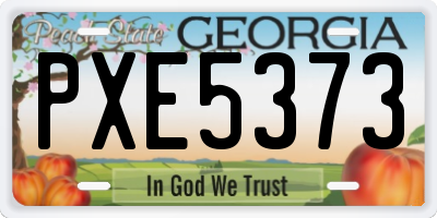 GA license plate PXE5373